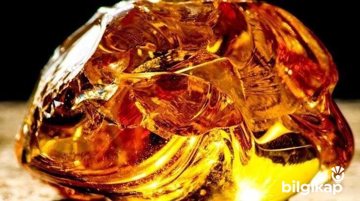 Amber Salon  Genel Kültür