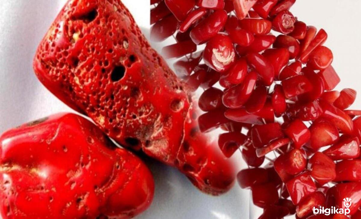 Mercan Taşı Faydaları ve Bakımı  Genel Kültür