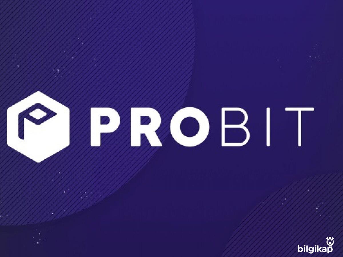 Probit Borsası Nasıl Kullanılır, Uygulaması Hangisidir?  Kripto Para
