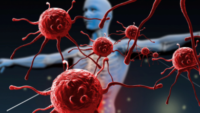 Doğal Yöntemlerle Bağışıklık Sisteminizi Güçlendirin  Sağlık