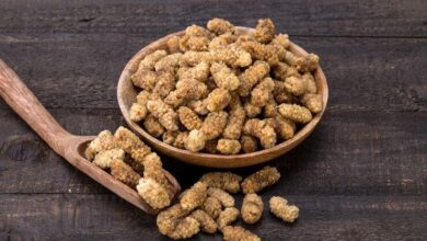 Beyaz Dut Kurusu Nedir? Beyaz Dur Kurusunun Faydaları Nelerdir? Şifalı Bitkiler