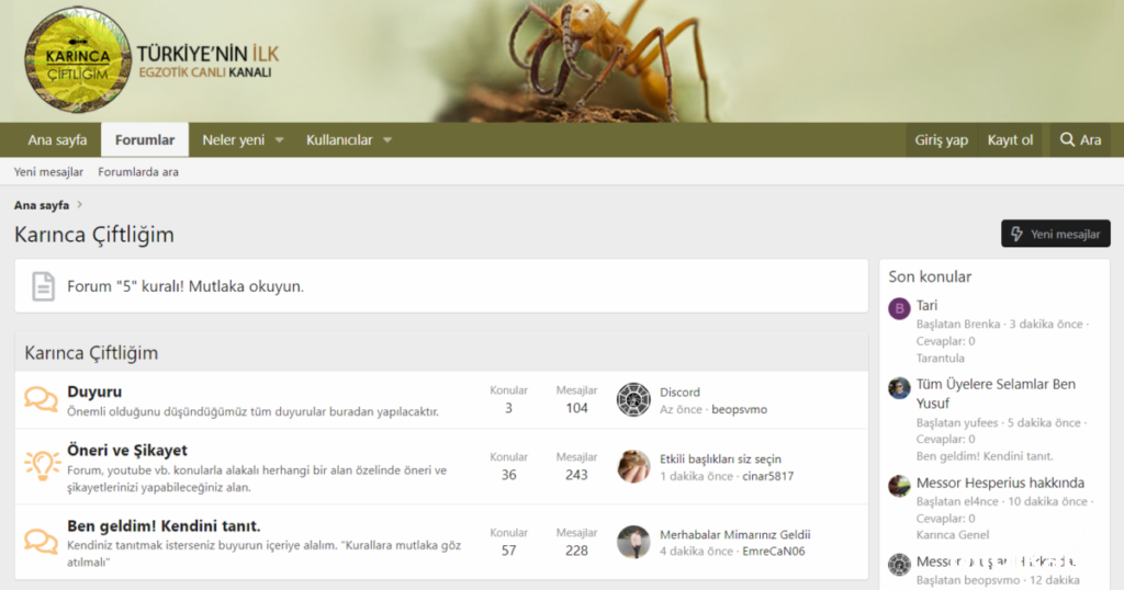 Karınca Çiftliğim Tekrar Açıldı mı? Elrean Kimdir ?  Haberler