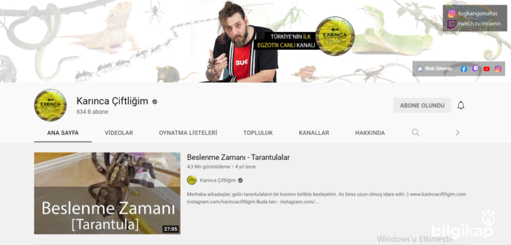 Karınca Çiftliğim Tekrar Açıldı mı? Elrean Kimdir ?  Haberler