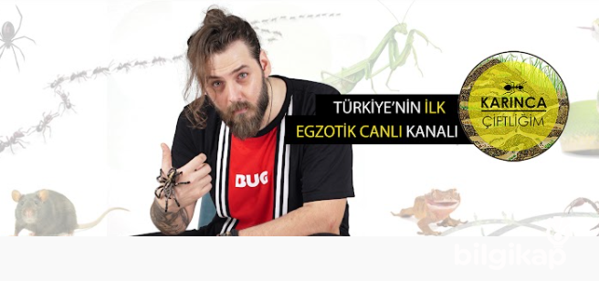 Karınca Çiftliğim Tekrar Açıldı mı? Elrean Kimdir ?  Haberler